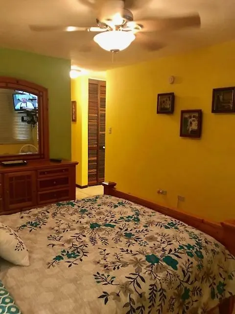 Beautiful Ocean View Apartamento Naguabo 0*,